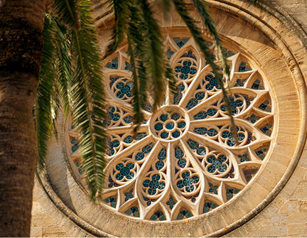 Discover Mallorca